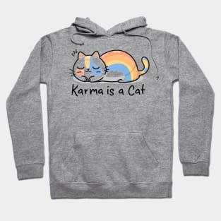 Karma Is A Cat Hoodie